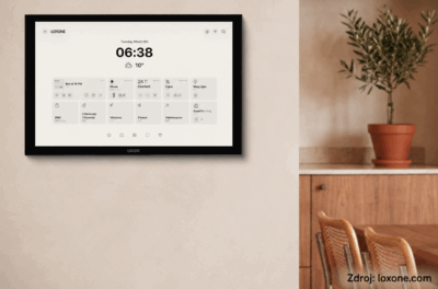 wall display 10